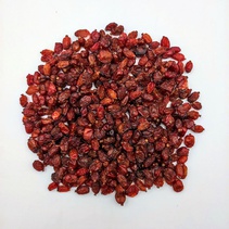 Барбарис красный ягоды