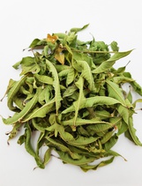 Вербена лимонная