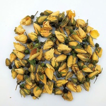 Бутоны розы желтые