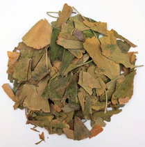 Гинкго Билоба